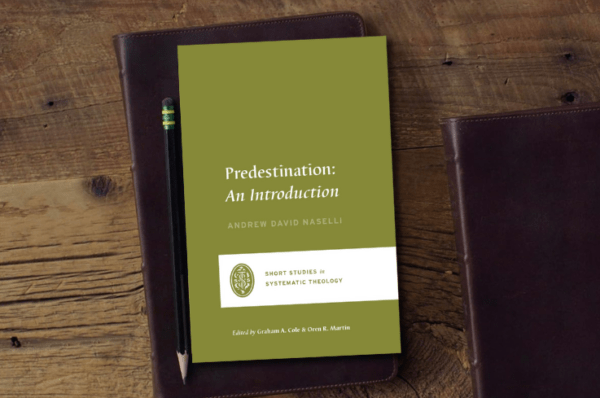 Predestination: An Introduction