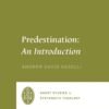 Predestination: An Introduction
