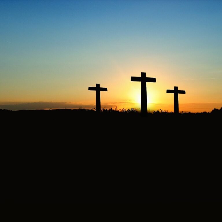cross 66700 1280