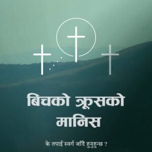 WhatsApp Image 2025 11 14 at 09.46.29 e7396e87