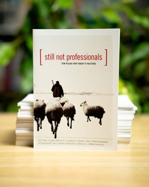 Still Not Professionals